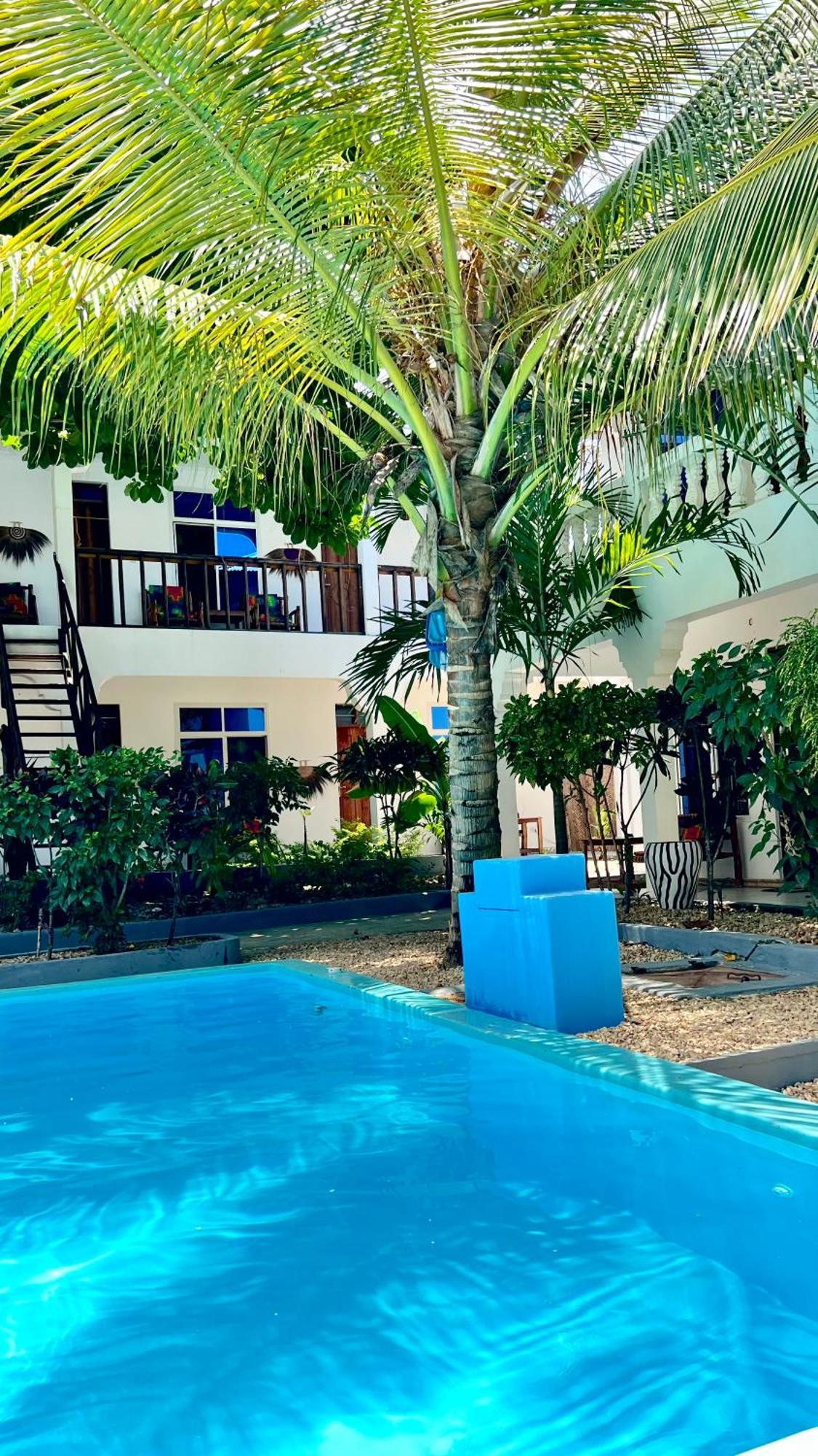 Kilimanjaro Bed & Breakfast Nungwi Ngoại thất bức ảnh