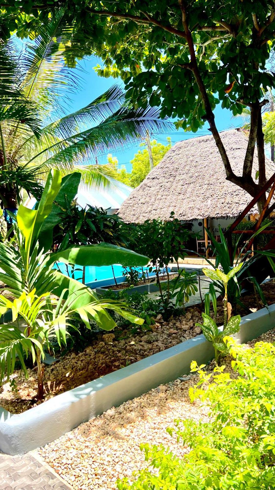 Kilimanjaro Bed & Breakfast Nungwi Ngoại thất bức ảnh