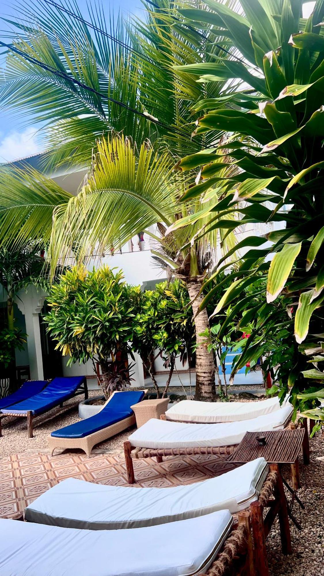 Kilimanjaro Bed & Breakfast Nungwi Ngoại thất bức ảnh