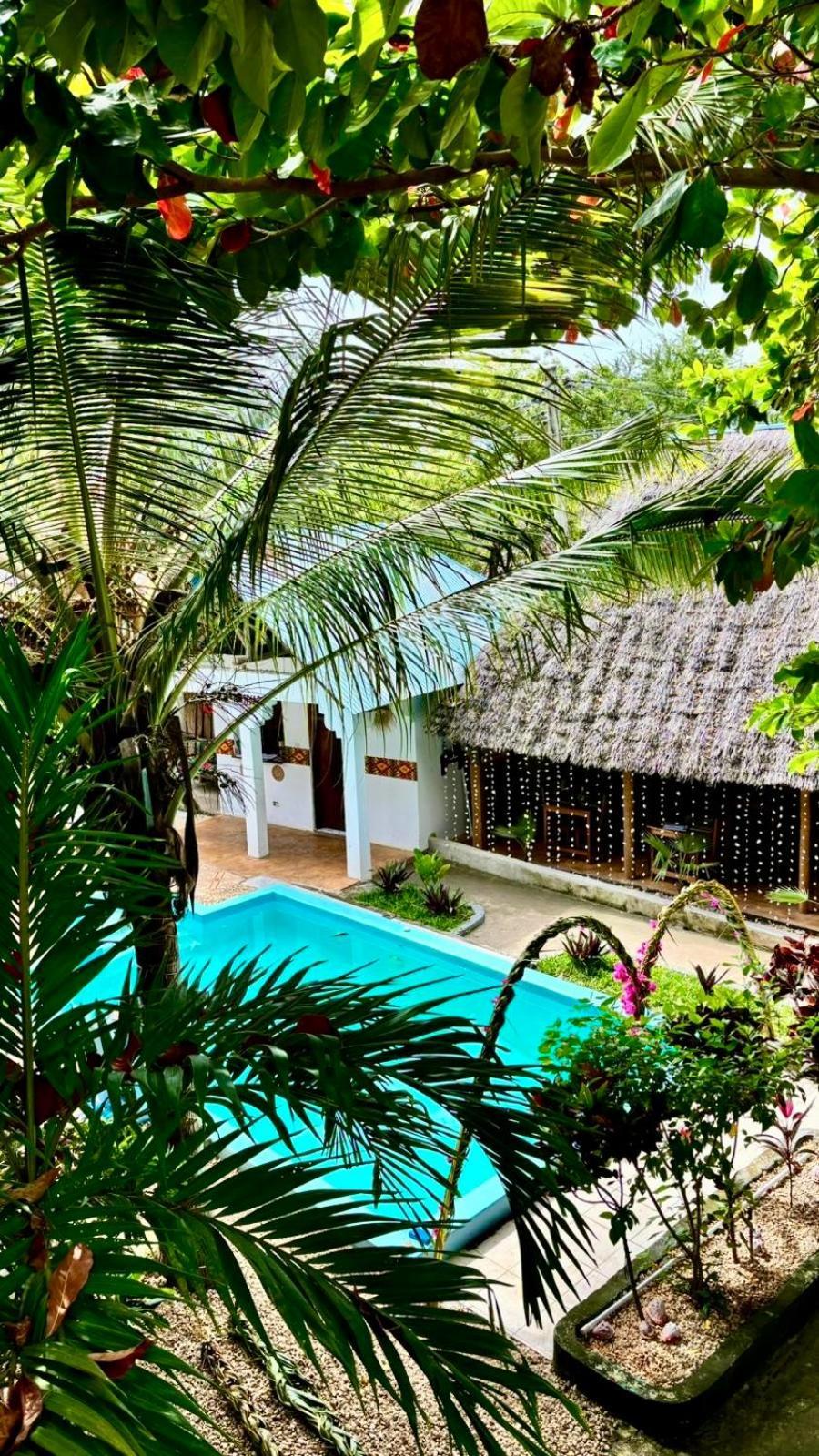 Kilimanjaro Bed & Breakfast Nungwi Ngoại thất bức ảnh