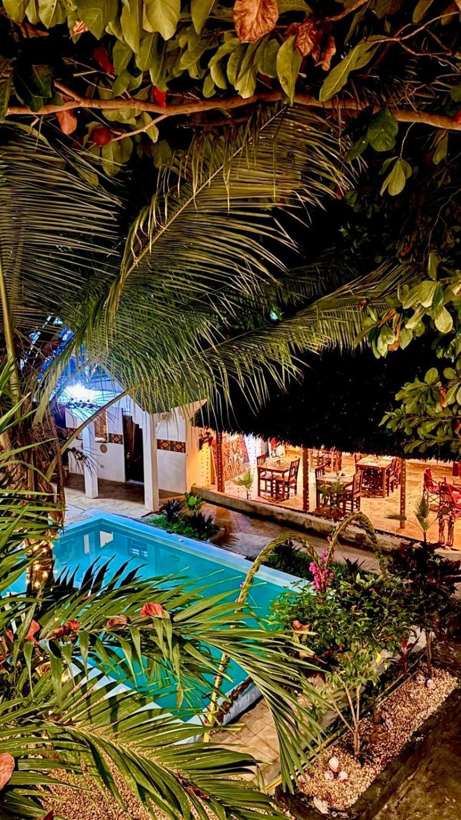 Kilimanjaro Bed & Breakfast Nungwi Ngoại thất bức ảnh