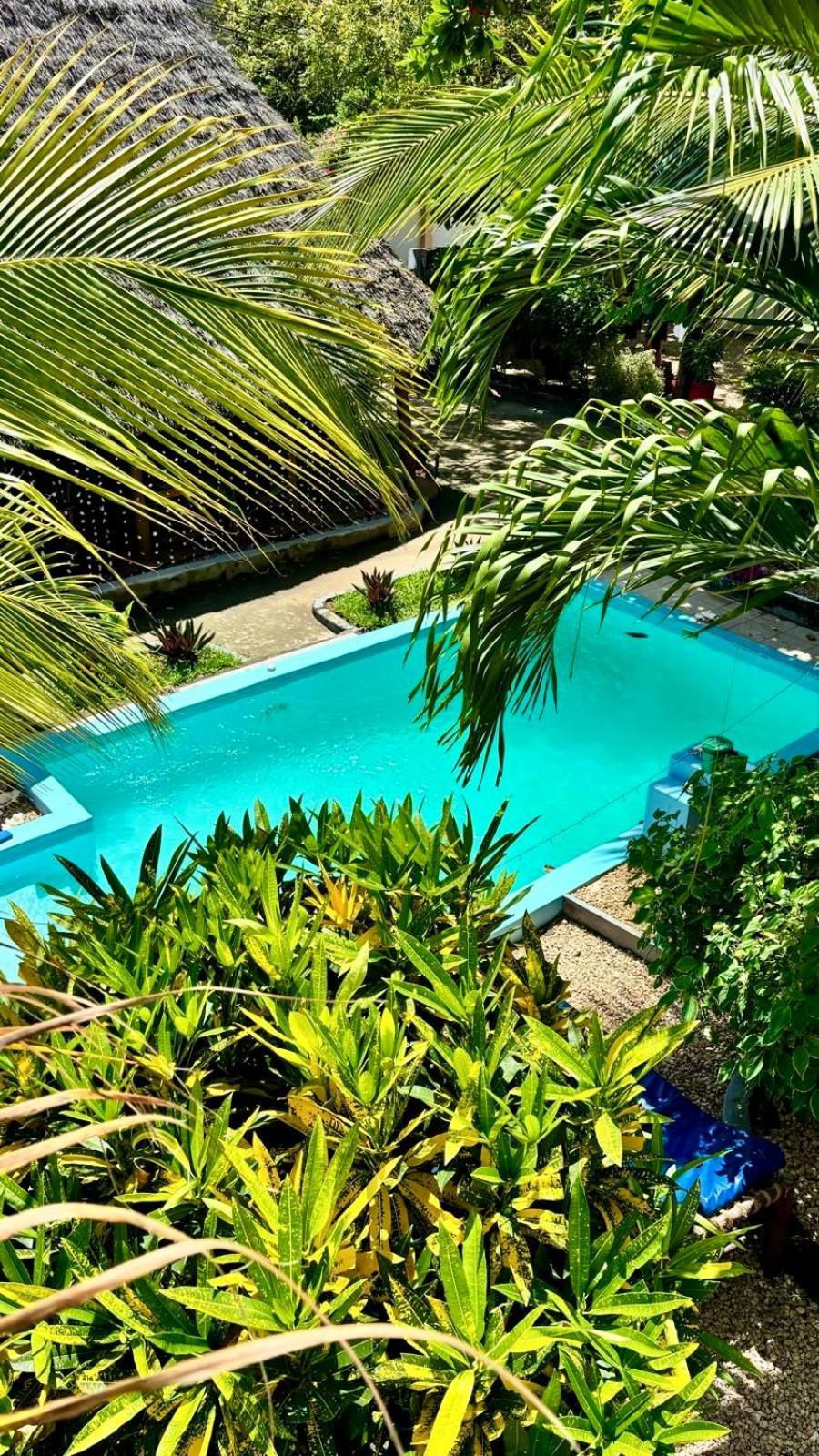 Kilimanjaro Bed & Breakfast Nungwi Ngoại thất bức ảnh