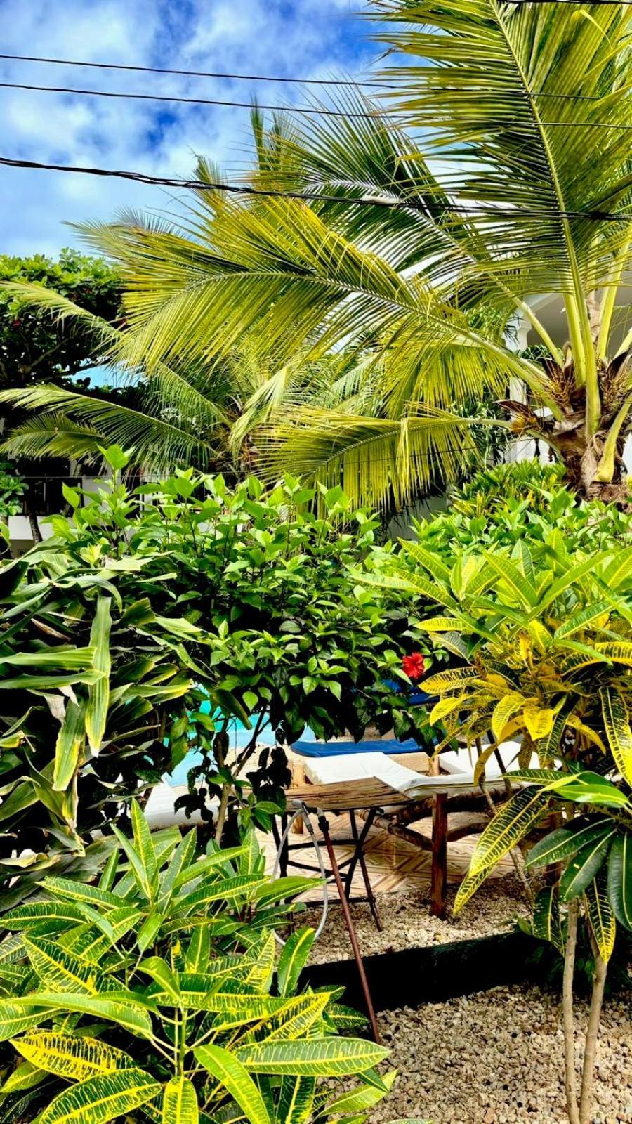 Kilimanjaro Bed & Breakfast Nungwi Ngoại thất bức ảnh