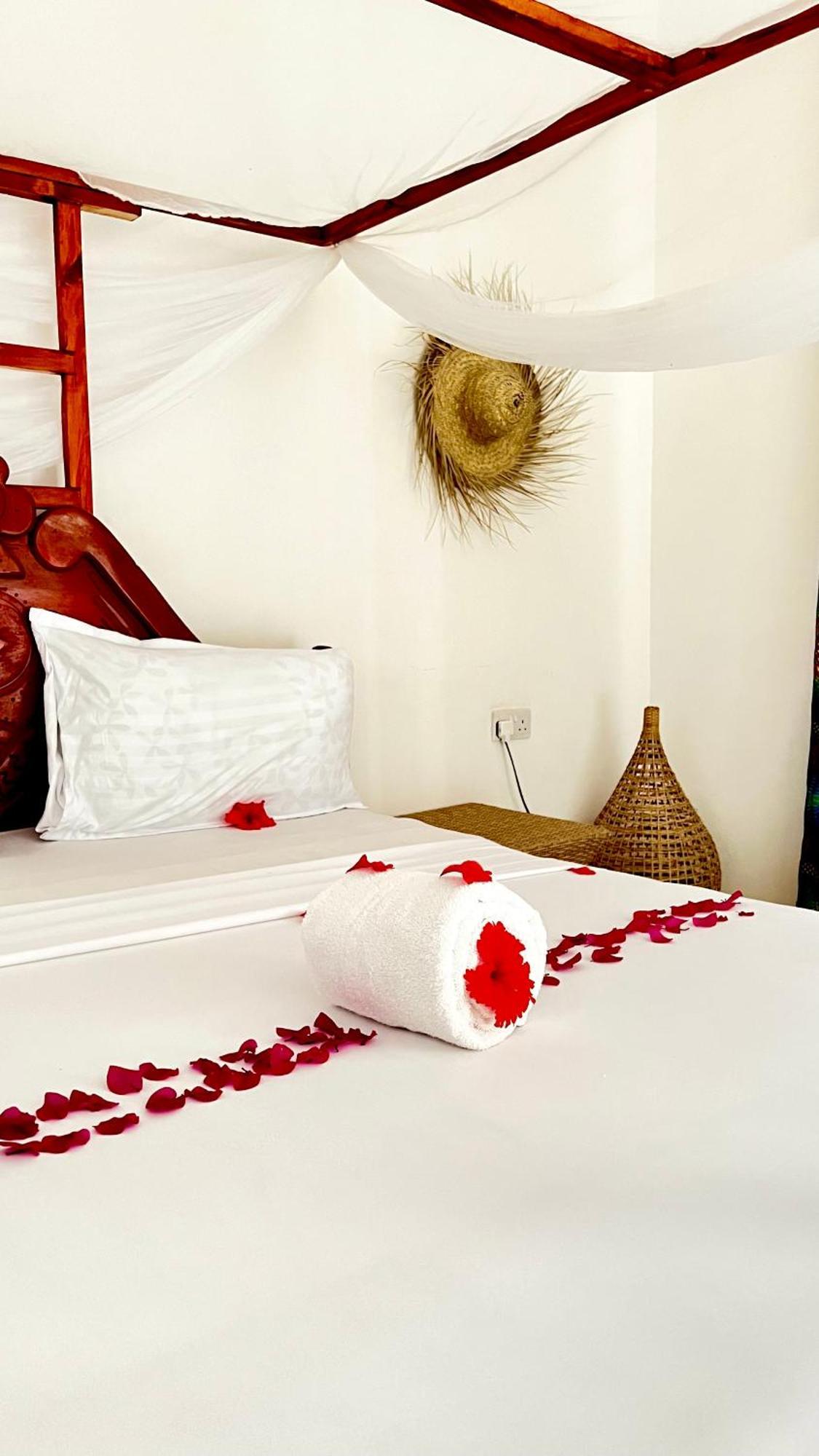 Kilimanjaro Bed & Breakfast Nungwi Ngoại thất bức ảnh
