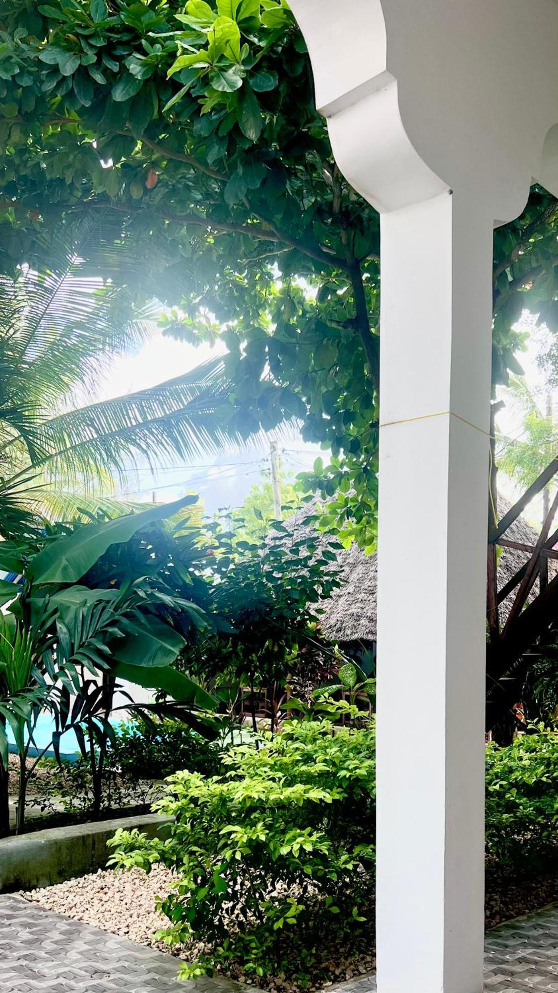 Kilimanjaro Bed & Breakfast Nungwi Ngoại thất bức ảnh