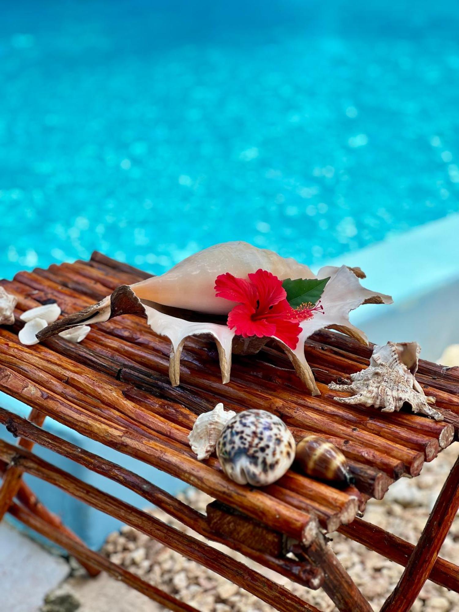 Kilimanjaro Bed & Breakfast Nungwi Ngoại thất bức ảnh
